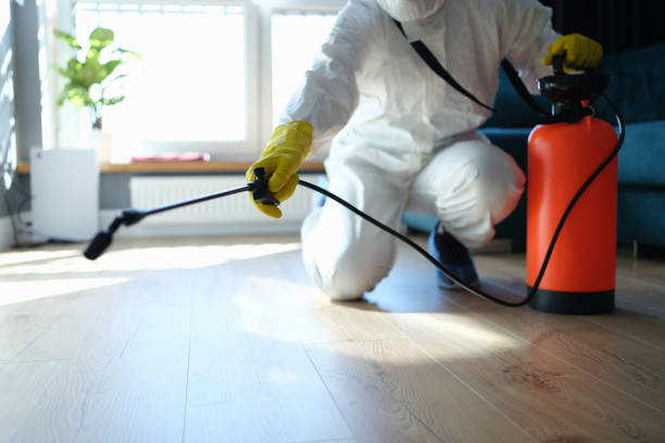 Reliable Odor Removal contractor in Jackson, NJ by Trauma Clean Pros